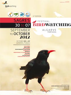 Birdwatching Festival in Sagres, Algarve