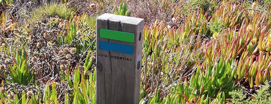 Wandern entlang der Küste Portugals - der Fischerpfad, man folgt den Zeichen mit grün-blauen Streifen. 