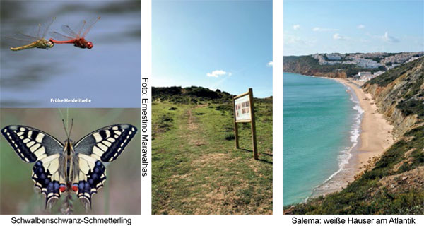 Boca do Rio: Ein Strand auch für Naturliebhaber